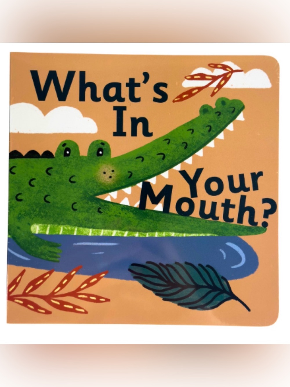 💜 What's in your mouth? Board Book
